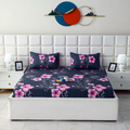Printed Fitted Bedsheet X00X4-43